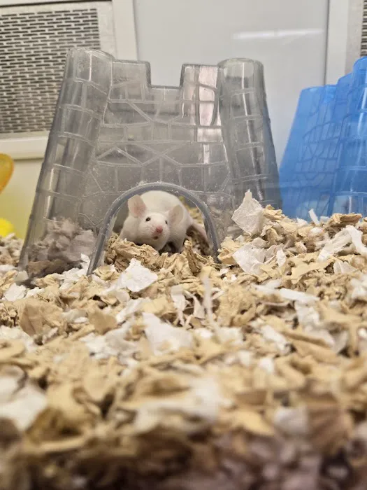 Petco Picture 2