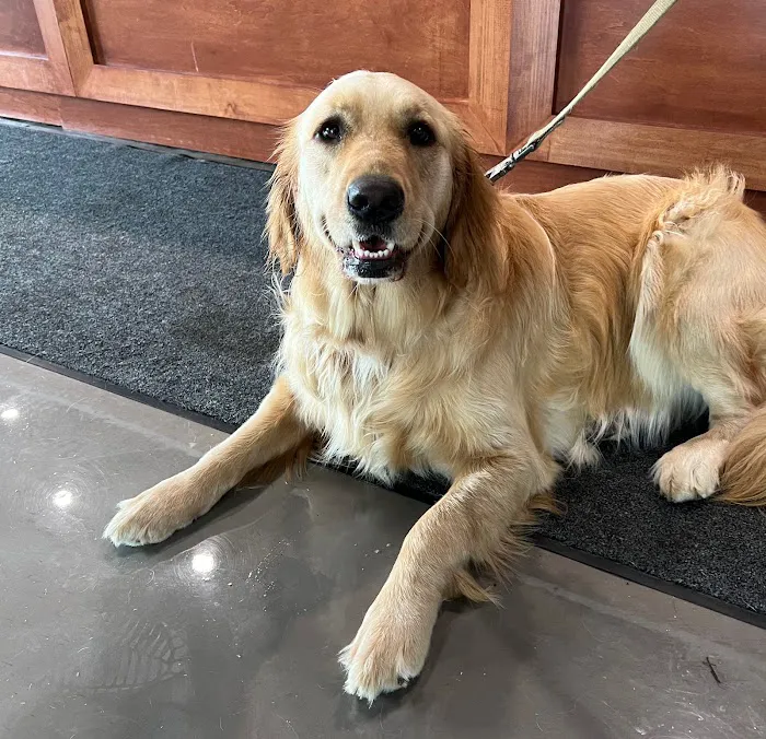 Longevity Veterinary Center Picture 10