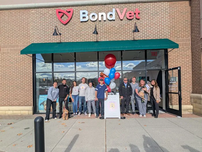 Bond Vet - Florham Park Picture 1