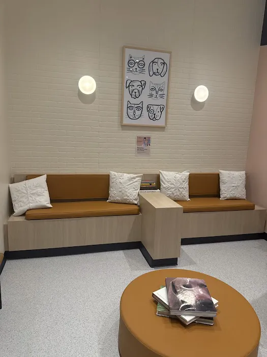 Bond Vet - Florham Park Picture 4
