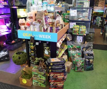 Supreme Exotics LLC - Coral's & Exotic Animal's Reptiles