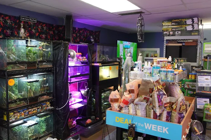 Supreme Exotics LLC - Coral's & Exotic Animal's Reptiles Picture 7
