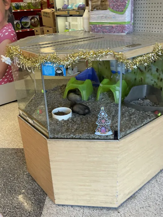 Petco Picture 3