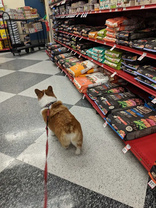 Petco Picture 2