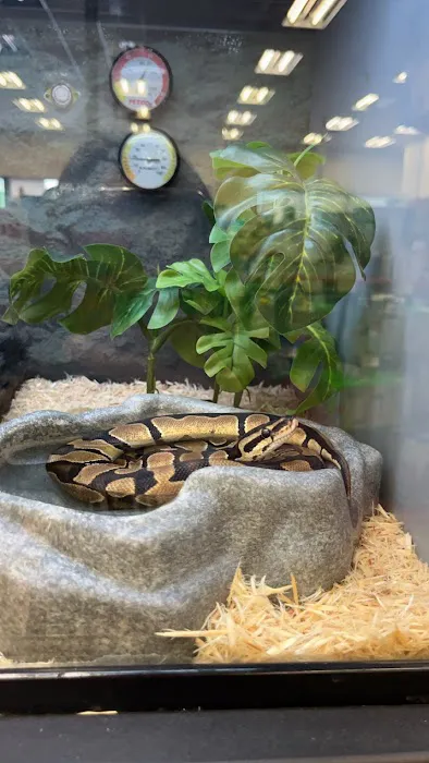 Petco Picture 6