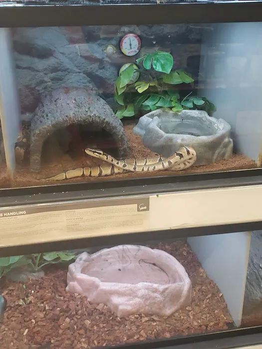 Petco Picture 9