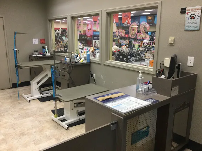 Petco Picture 10