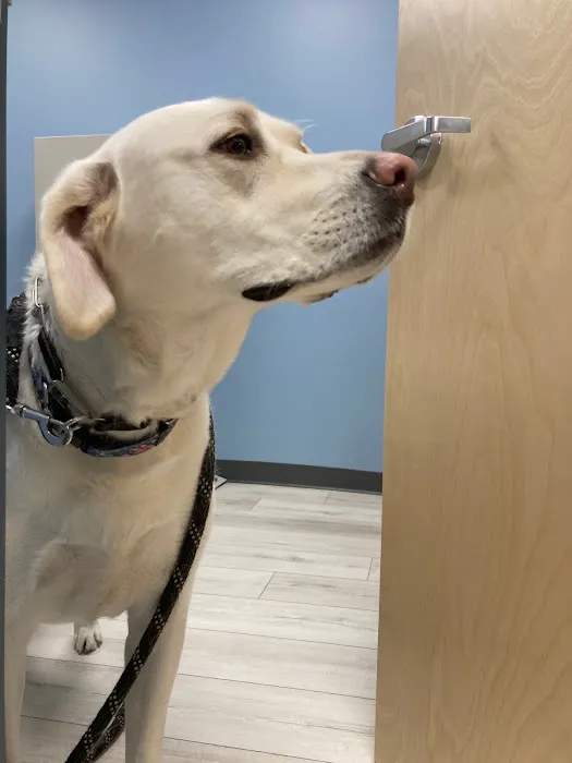 Saint Francis Veterinary Medical Center Picture 6