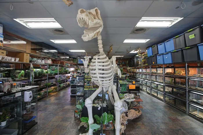 Predators Reptile Center Picture 2