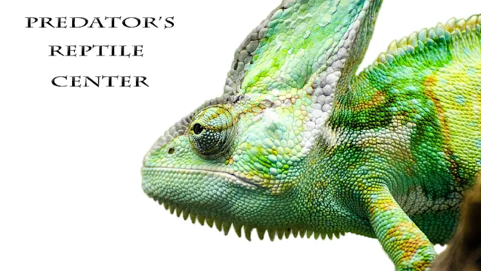 Predators Reptile Center Picture 3