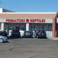 Predators Reptile Center ico