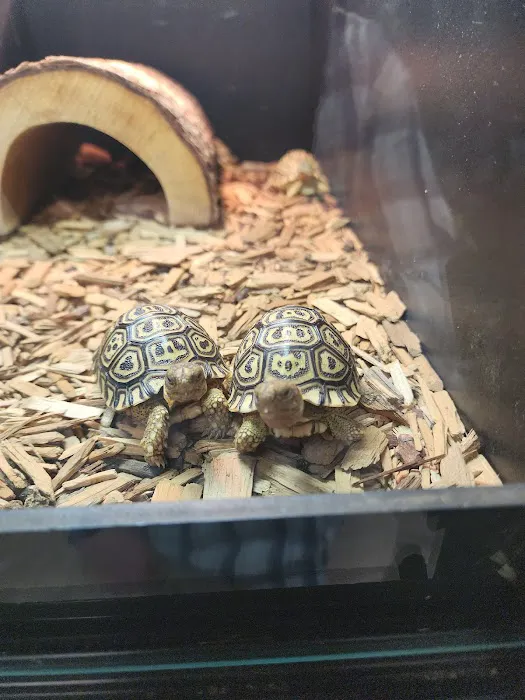 Predators Reptile Center Picture 5