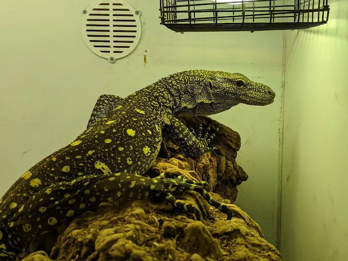Predators Reptile Center Picture 4