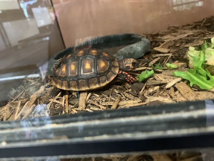 Predators Reptile Center Picture 10