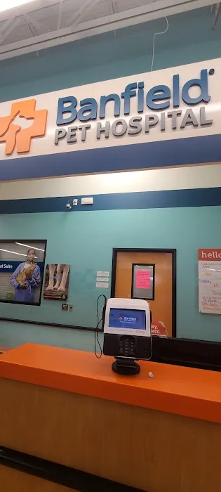 Banfield Pet Hospital Picture 10