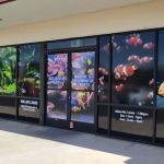Aquarium Arts