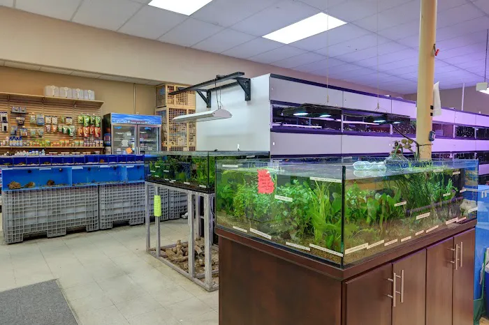 Aquarium Arts Picture 5