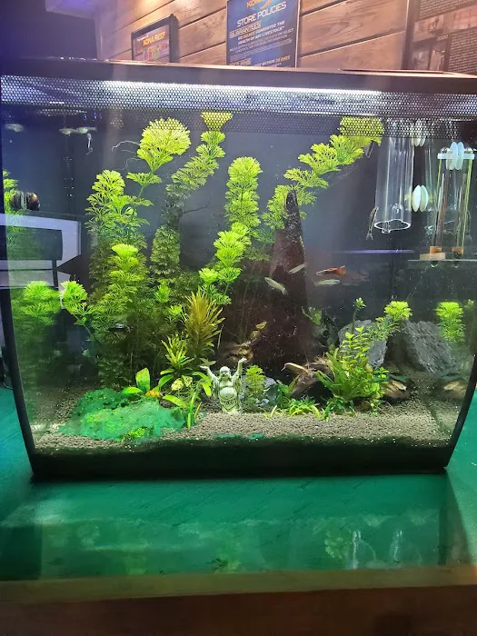 Kona Reef Az - Chandler Picture 1