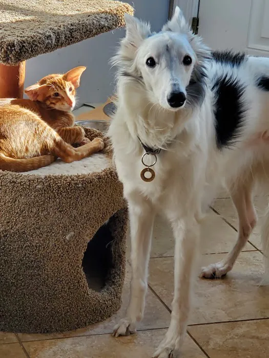 Rockaway Animal Hospital Picture 5