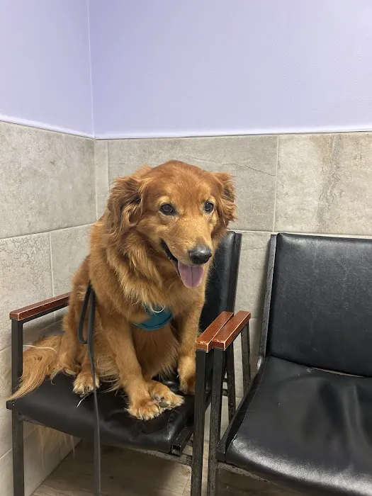 Rockaway Animal Hospital Picture 7