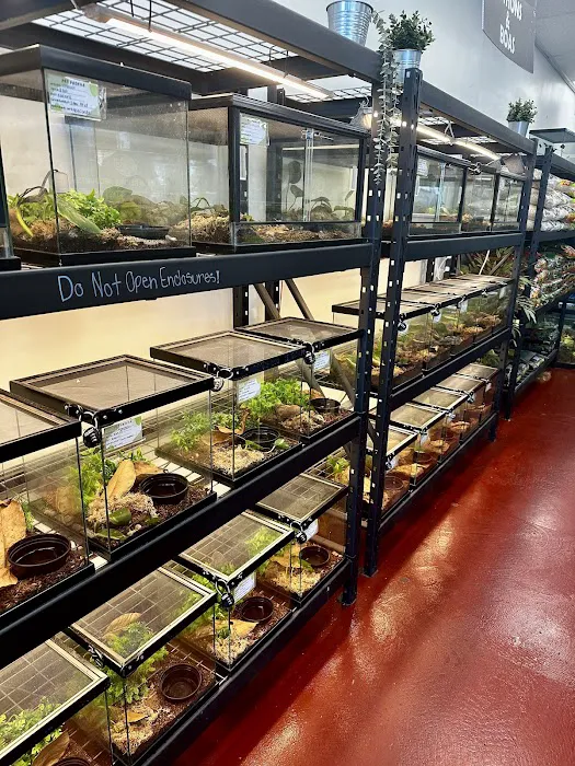 The Reptile Store Picture 2