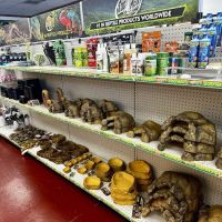 The Reptile Store ico