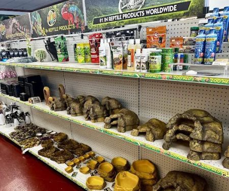 The Reptile Store
