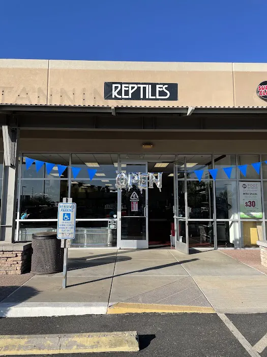 The Reptile Store Picture 3