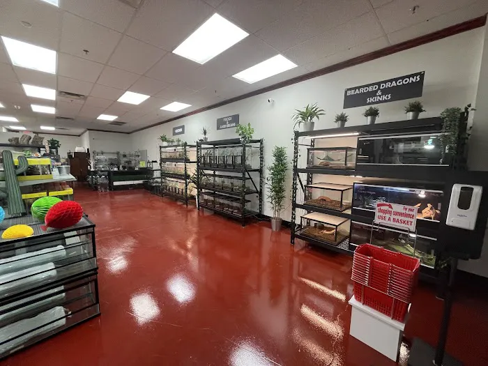 The Reptile Store Picture 5
