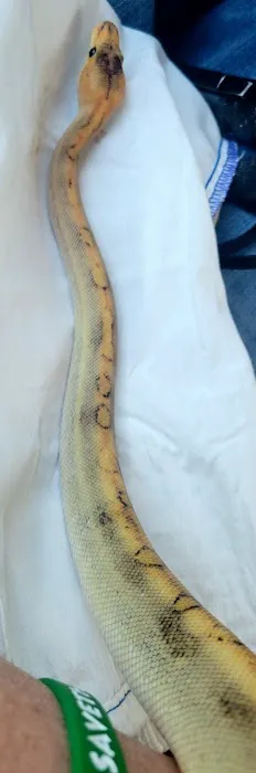 The Reptile Store Picture 4