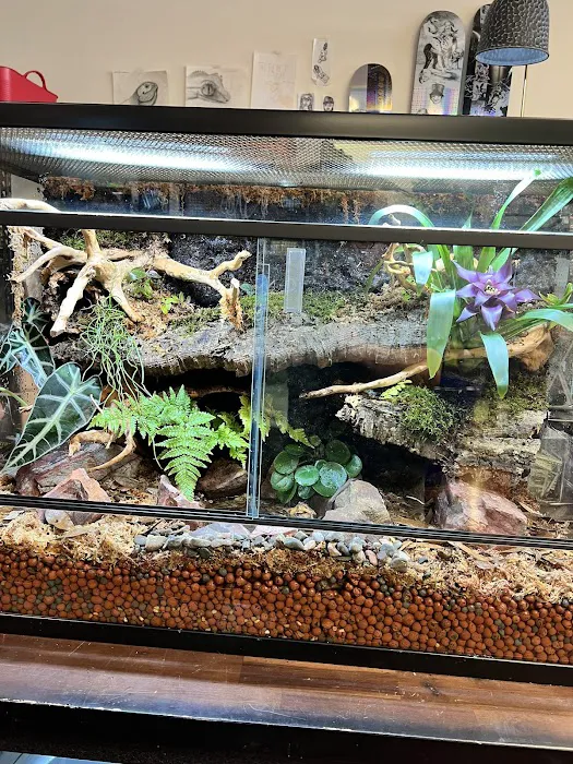 The Reptile Store Picture 6
