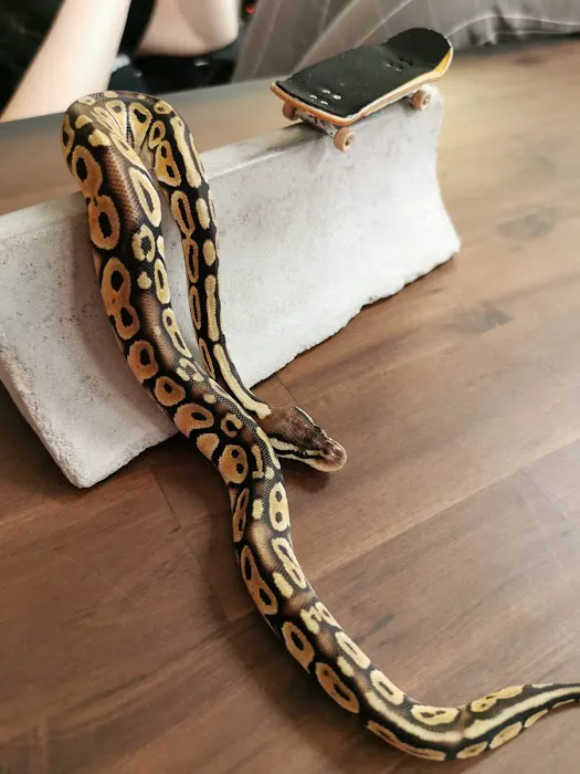 The Reptile Store Picture 8