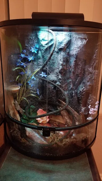 The Reptile Store Picture 9