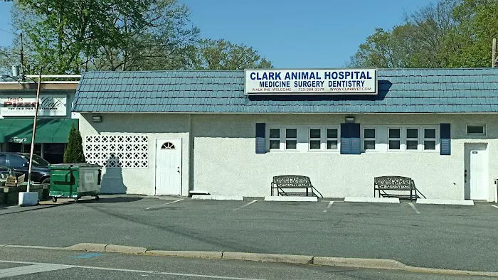 Clark Animal Hospital: Anant V Joshi DVM Picture 1