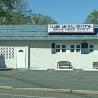 Clark Animal Hospital: Anant V Joshi DVM ico