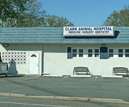 Clark Animal Hospital: Anant V Joshi DVM