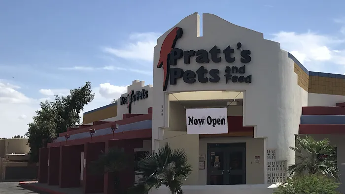 Pratt’s Pets - Mesa Picture 2