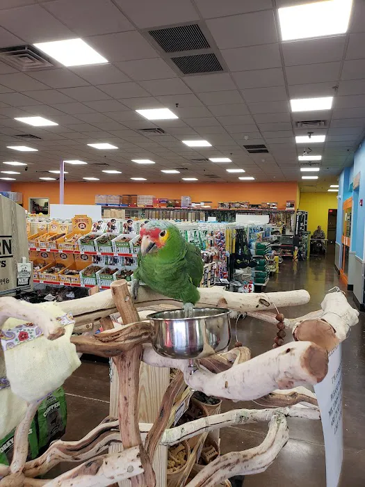 Pratt’s Pets - Mesa Picture 4