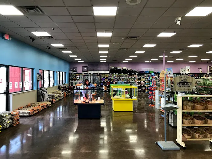 Pratt’s Pets - Mesa Picture 9
