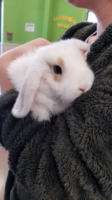Pratt’s Pets - Mesa Picture 8