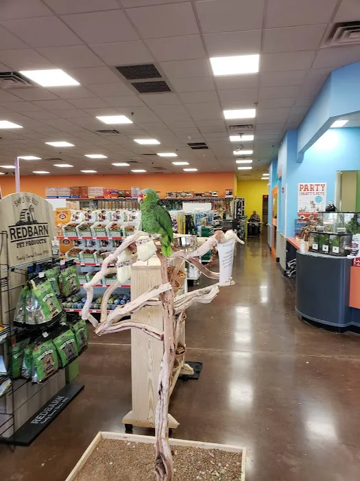 Pratt’s Pets - Mesa Picture 10