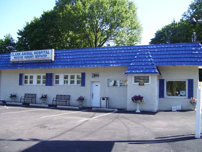 Clark Animal Hospital Picture 3