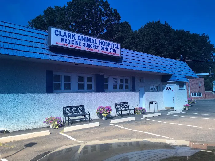 Clark Animal Hospital Picture 2