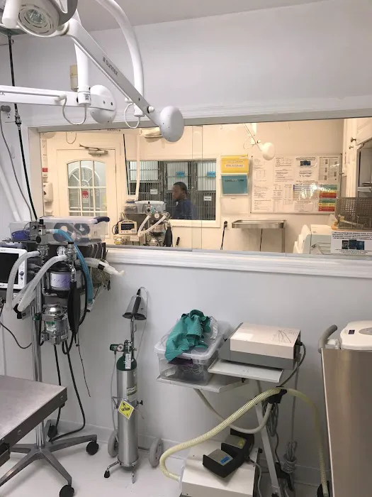 Clark Animal Hospital Picture 6