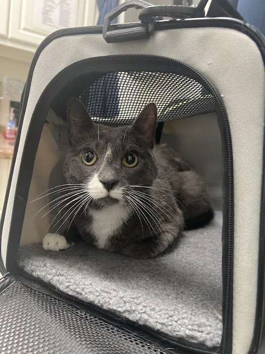 Clark Animal Hospital Picture 8