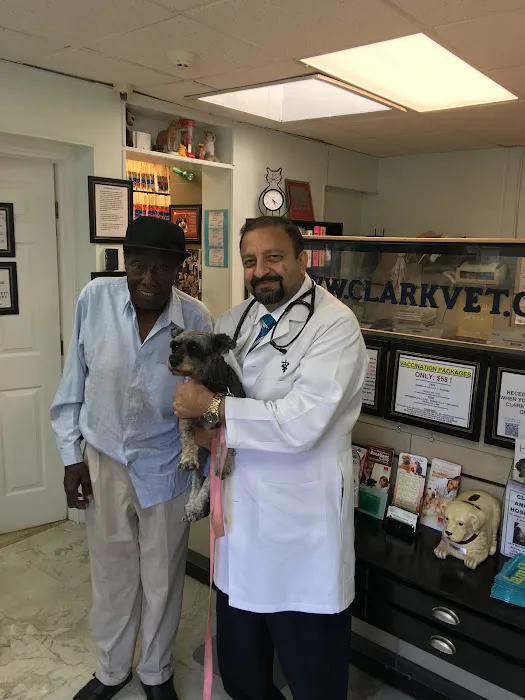 Clark Animal Hospital Picture 9