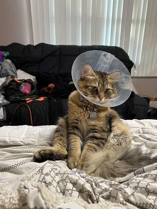 Clark Animal Hospital Picture 10