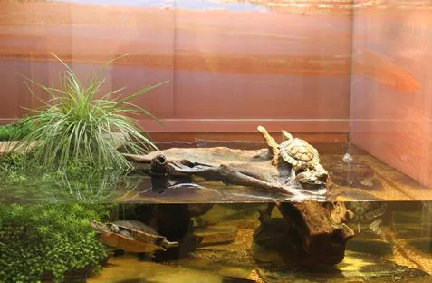 TRUVU Aquariums Picture 3