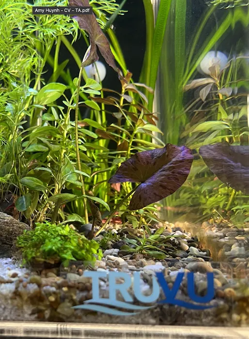 TRUVU Aquariums Picture 4