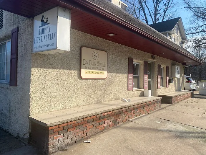 Rahway Veterinarian Picture 6
